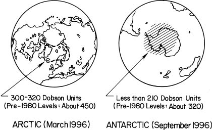 A Schematic of the Ozone over the Arctic and Antarctica in 1996
