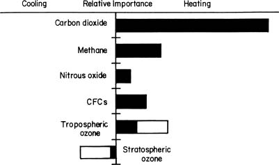Relative Importance of the Changes in the Abundance of Various Gases in the Atmosphere
