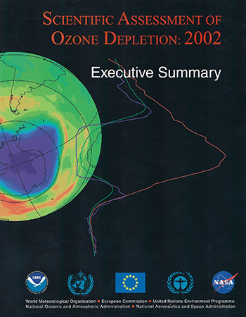 2002 Assessment Executive Summary cover