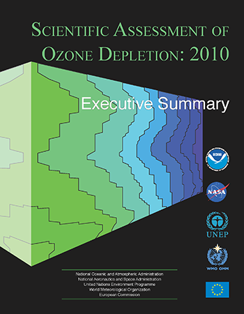 2010 Assessment Executive Summary cover