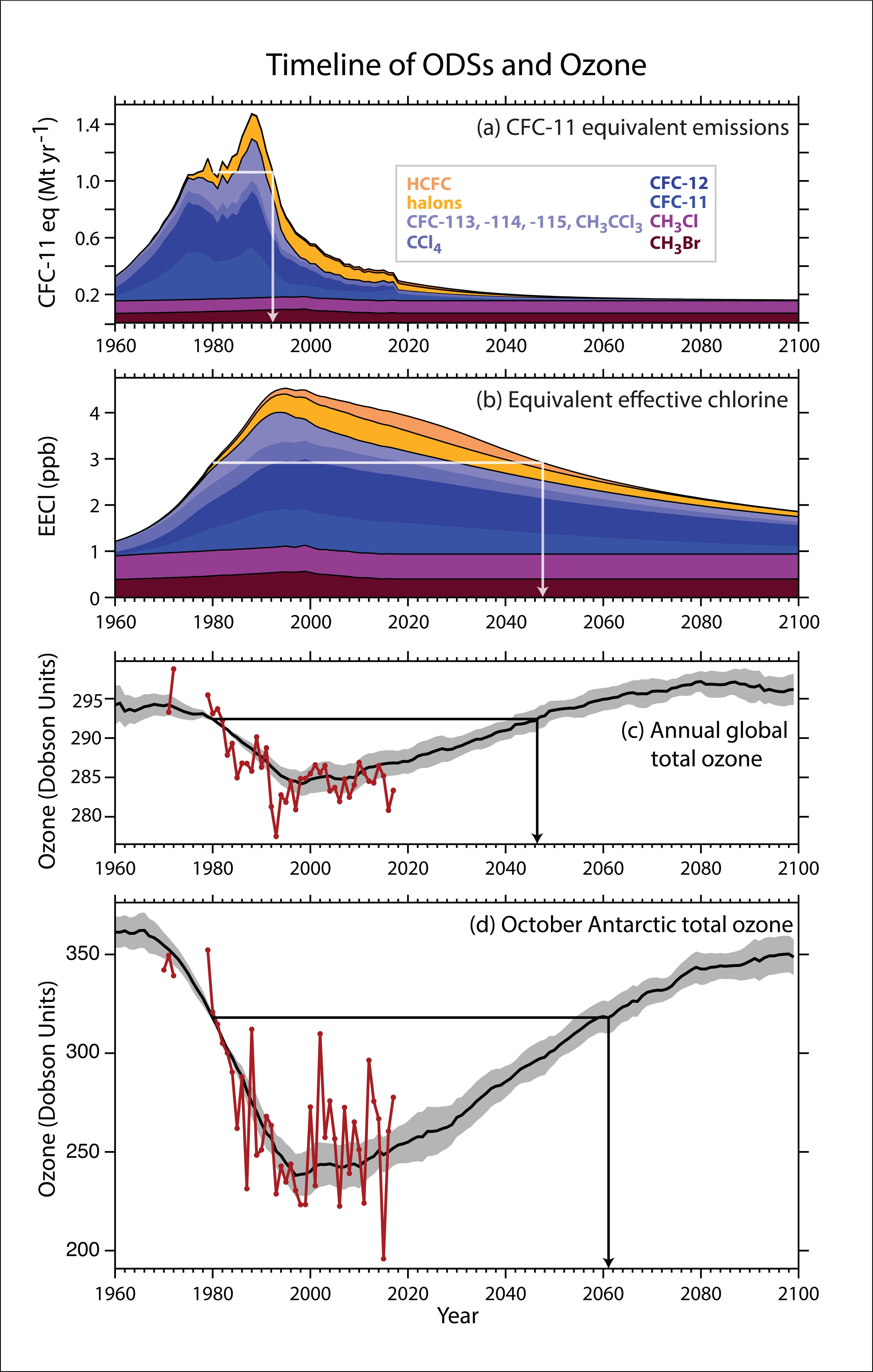 Timeline of ODSs and Ozone