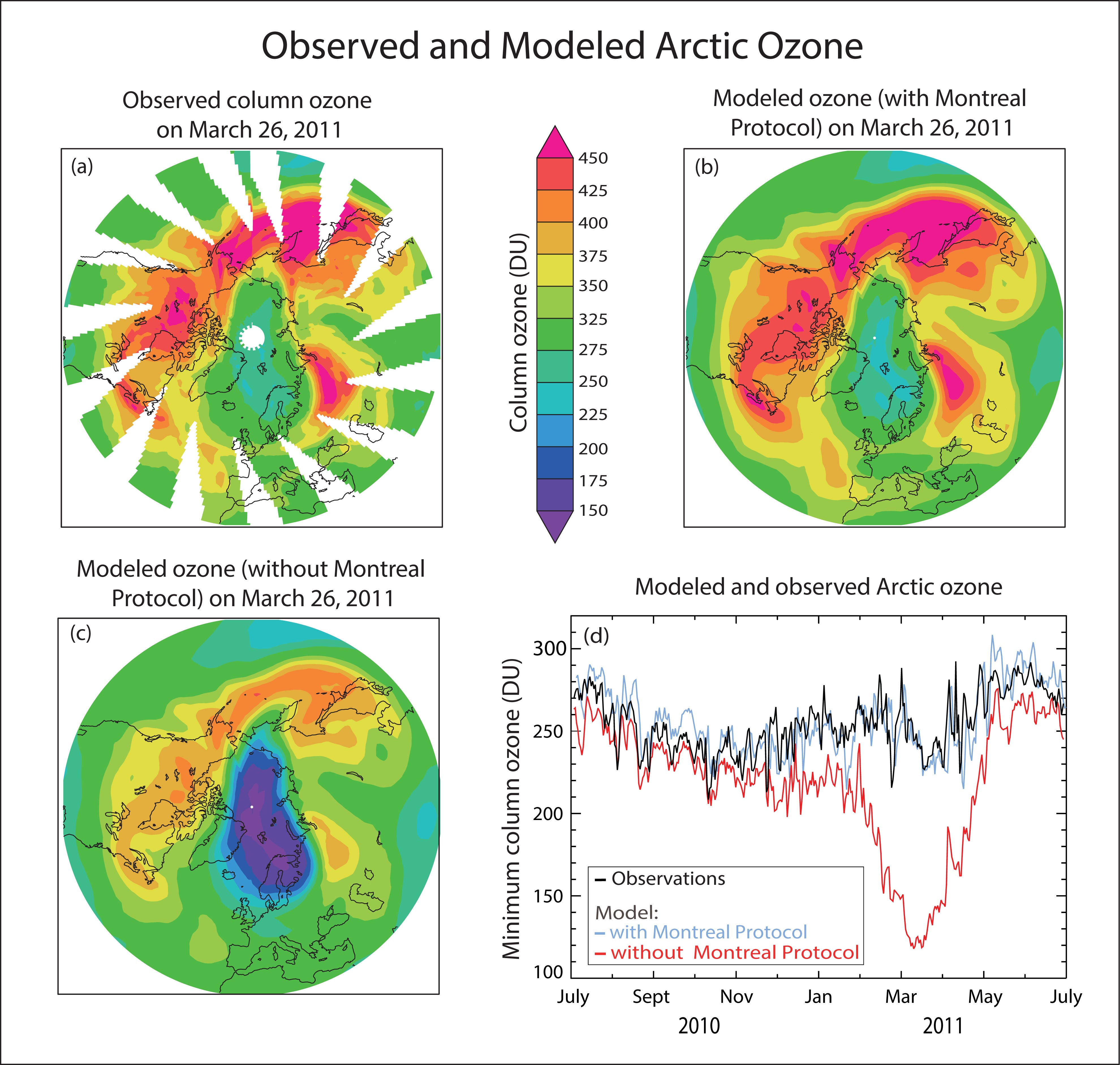 Observed and Modeled Arctic Ozone