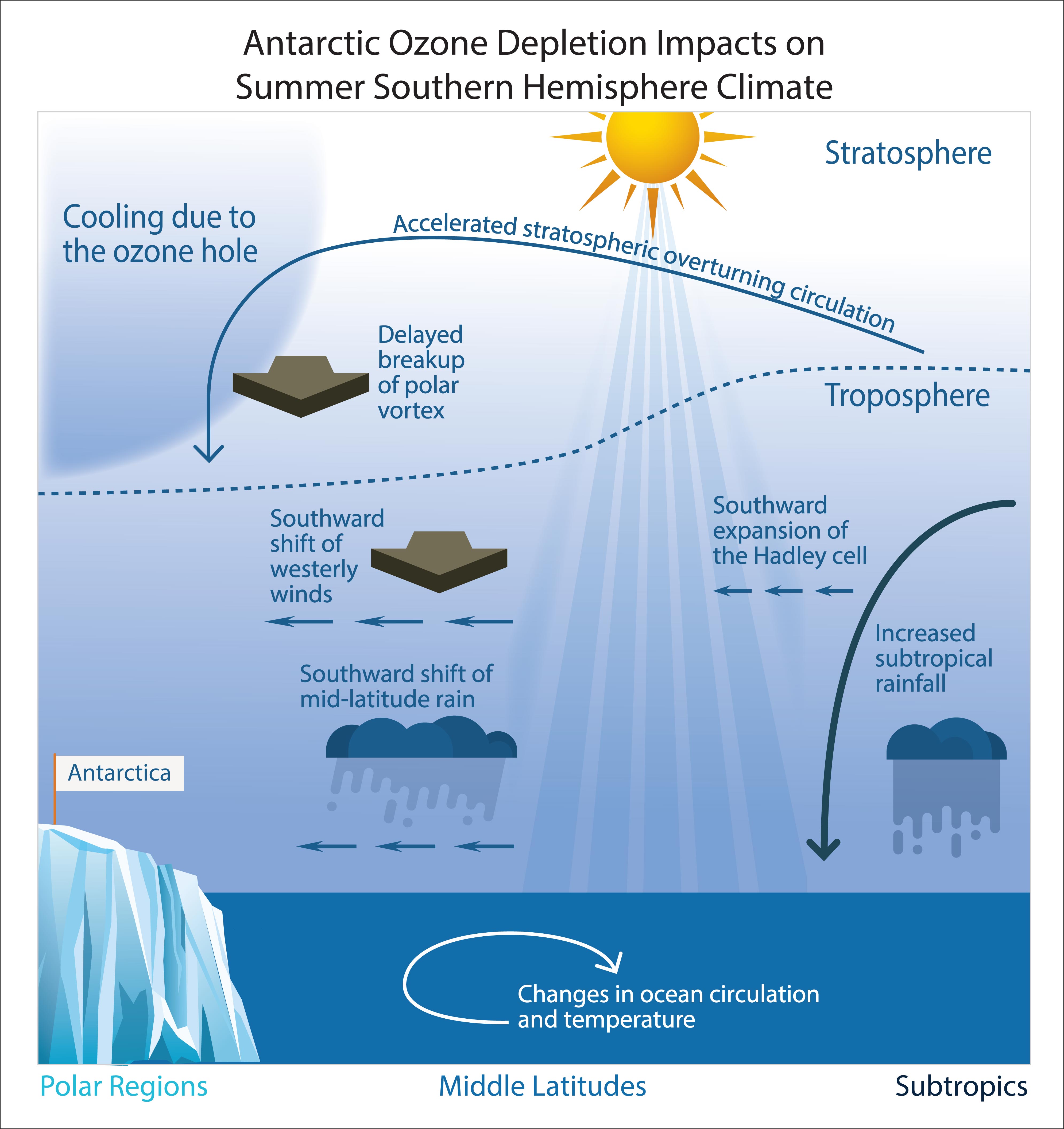 Antarctic Ozone Depletion Impacts on Summer Southern Hemisphere Climate