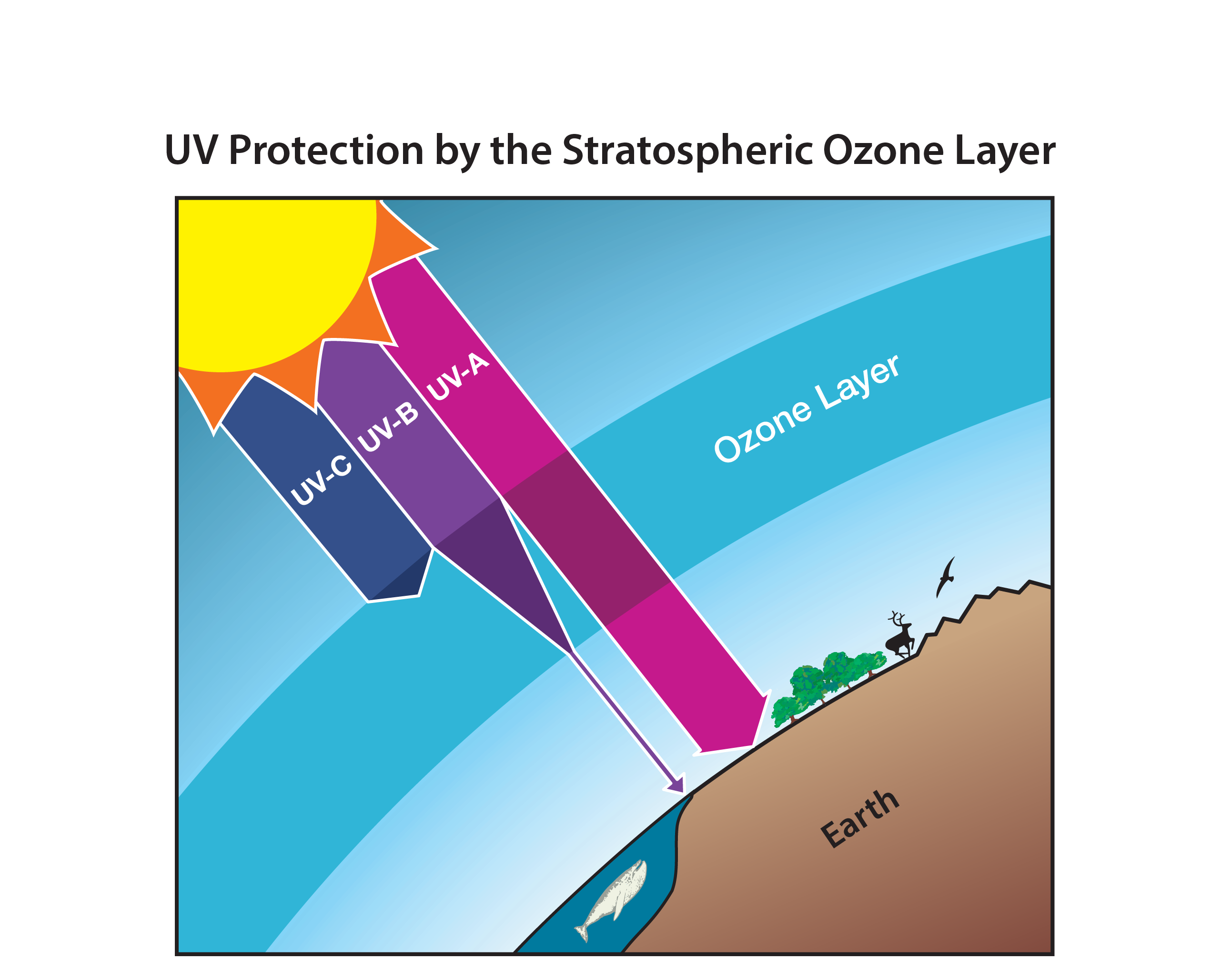 Twenty Questions And Answers Scientific Assessment Of Ozone Depletion 2018