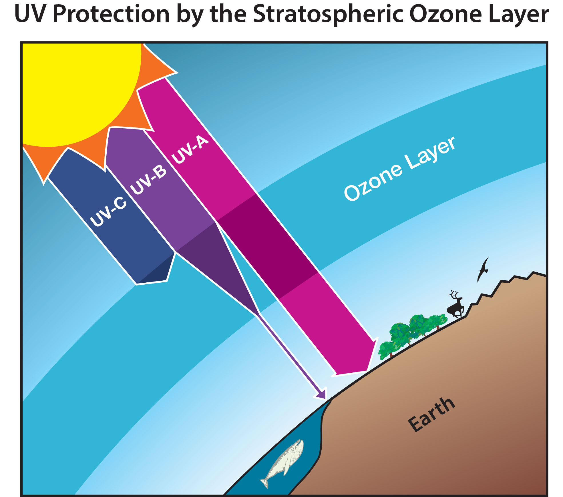 Protect the Ozone layer