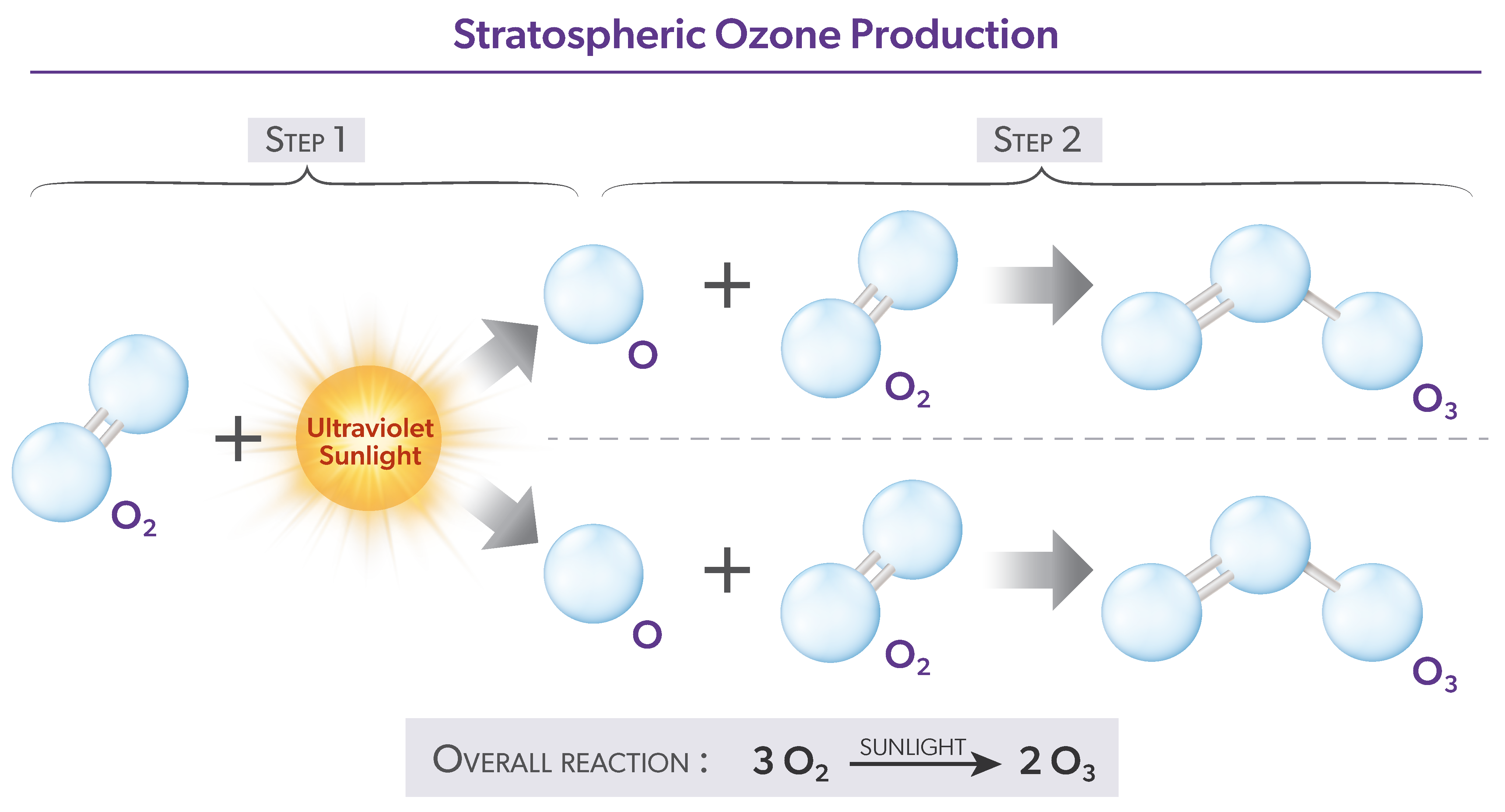Stratospheric Ozone Production