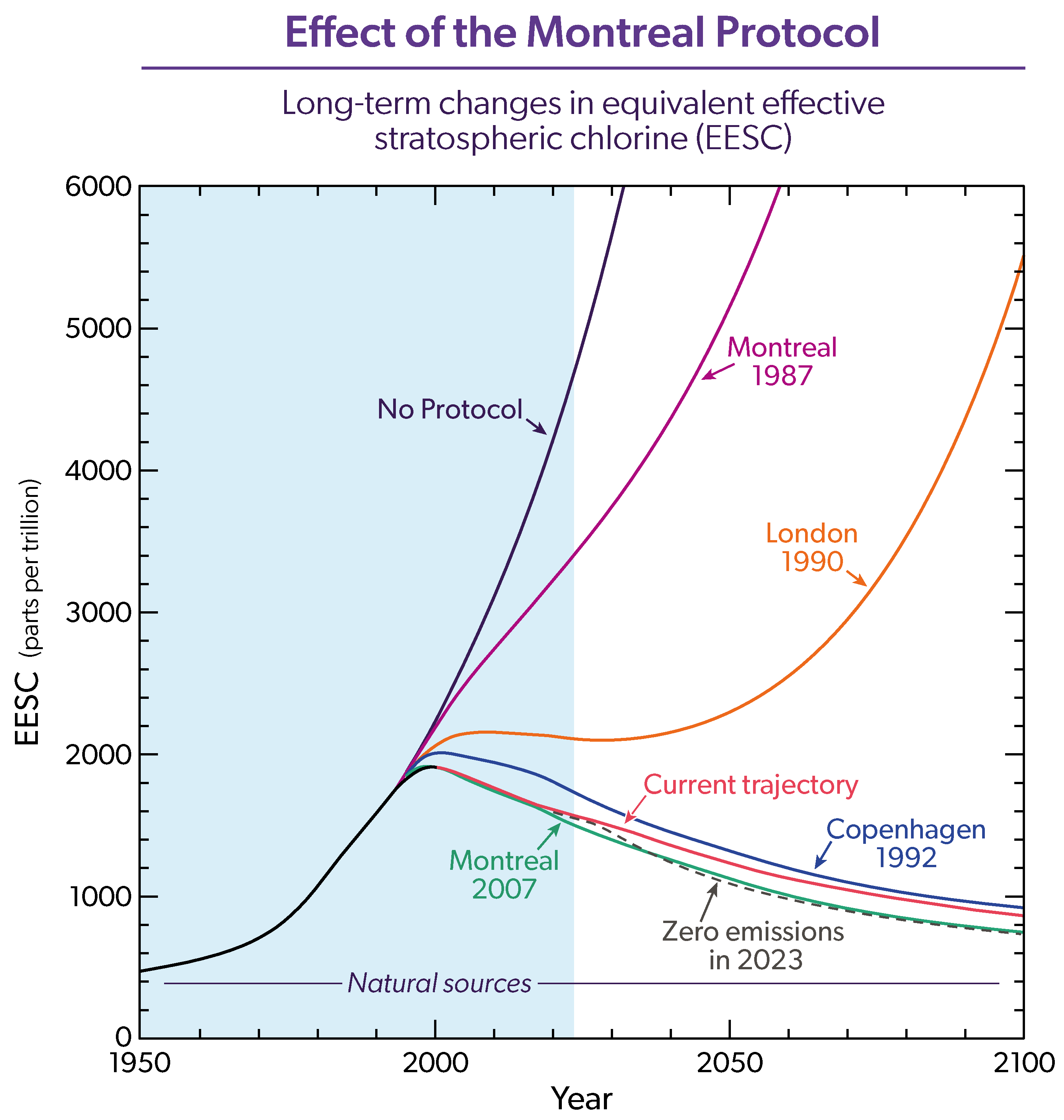 Effect of the Montreal Protocol