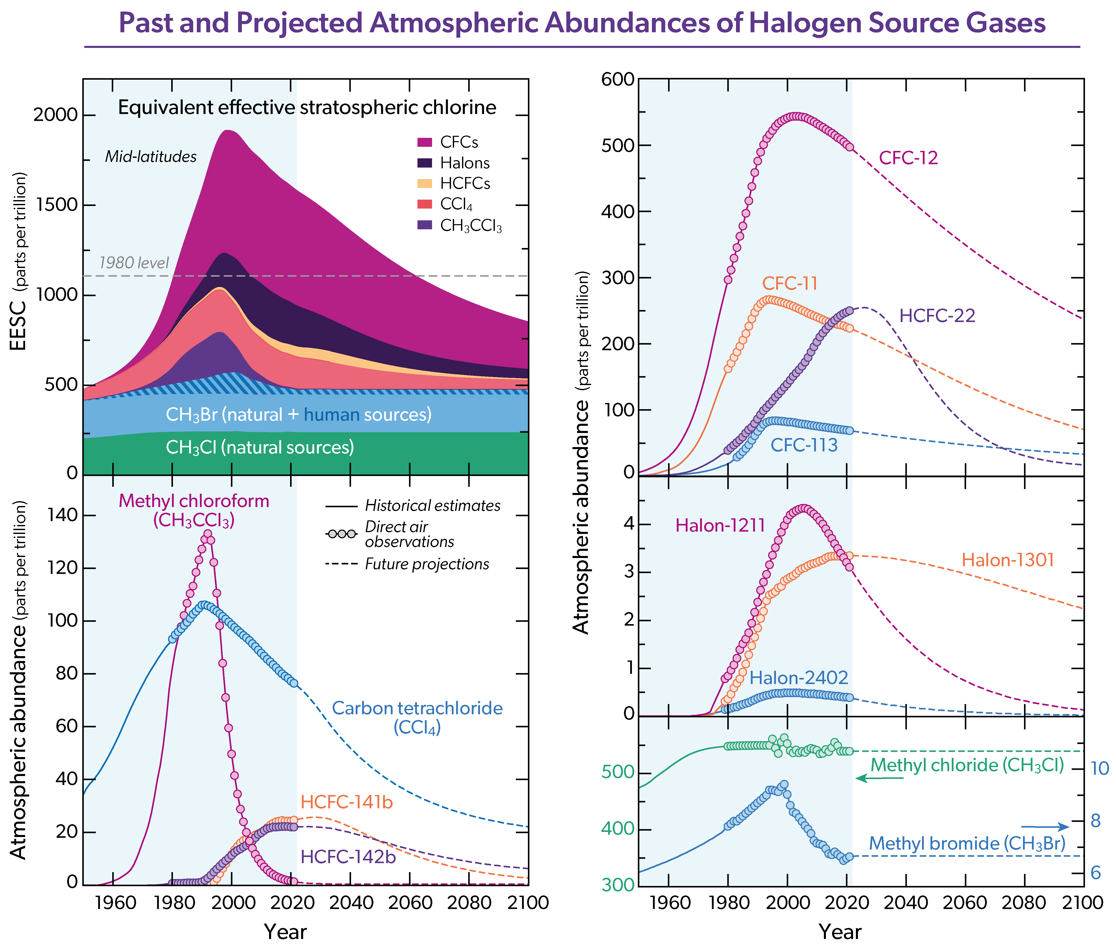 Past and Projected Atmospheric Abundances of Halogen Source Gases