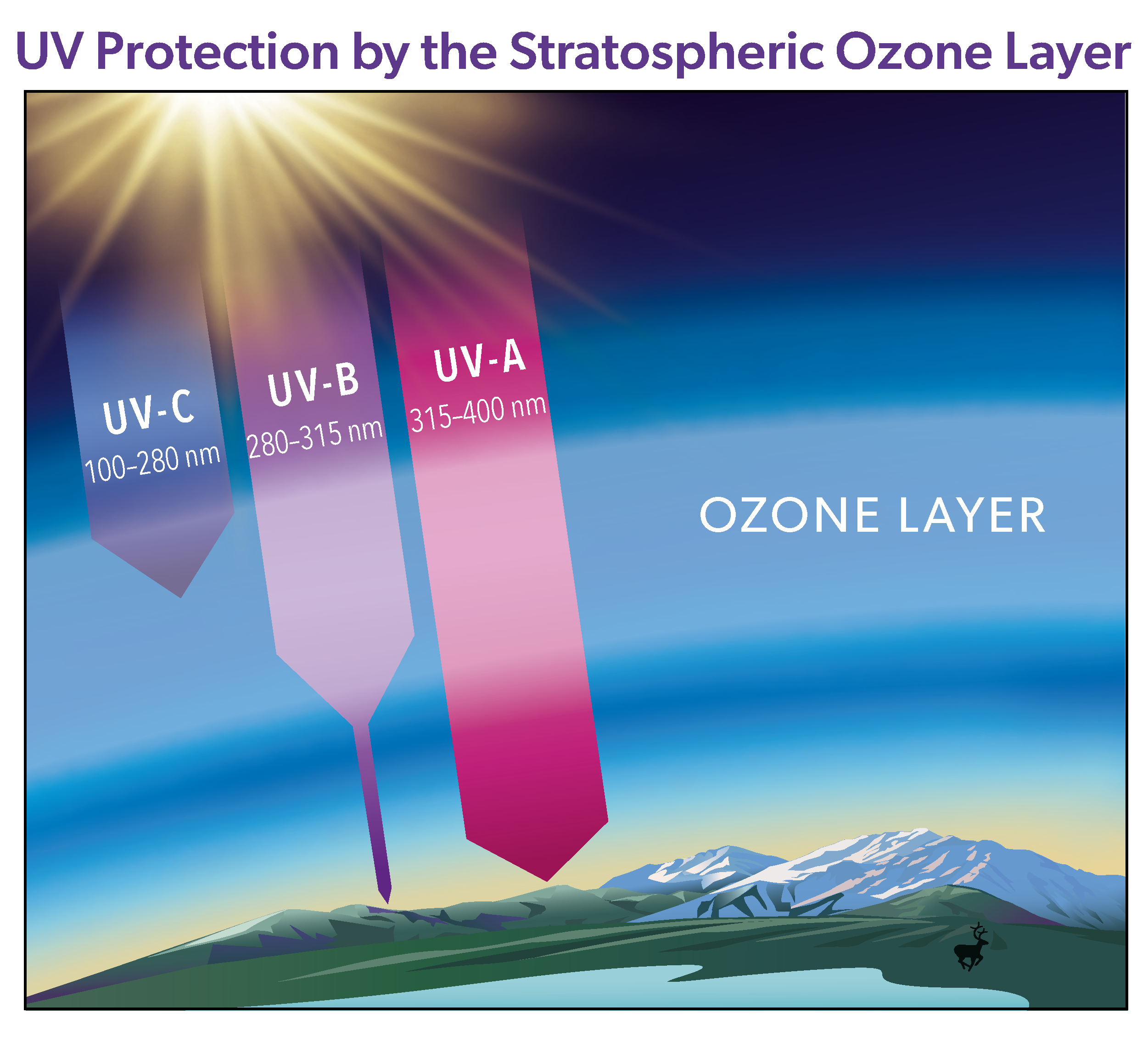 UV Protection by the Stratospheric Ozone Layer
