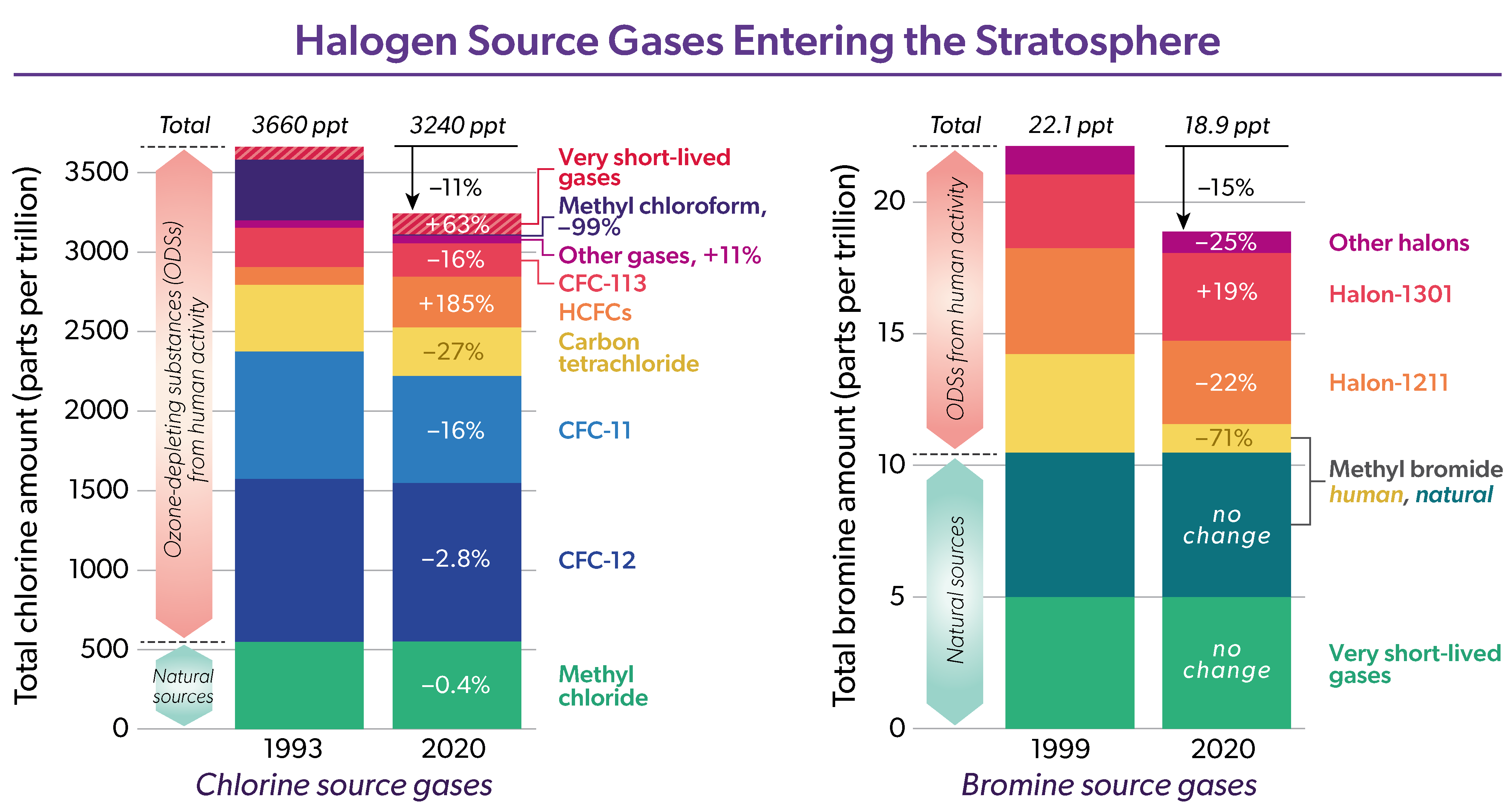Halogen Source Gases Entering the Stratosphere