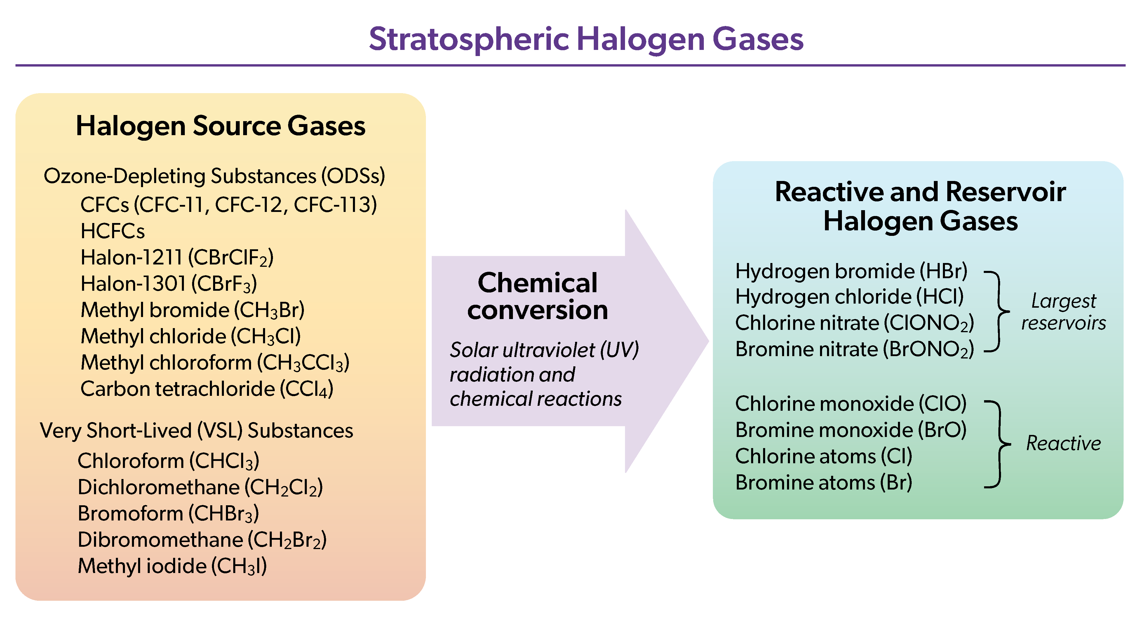 Stratospheric Halogen Gases