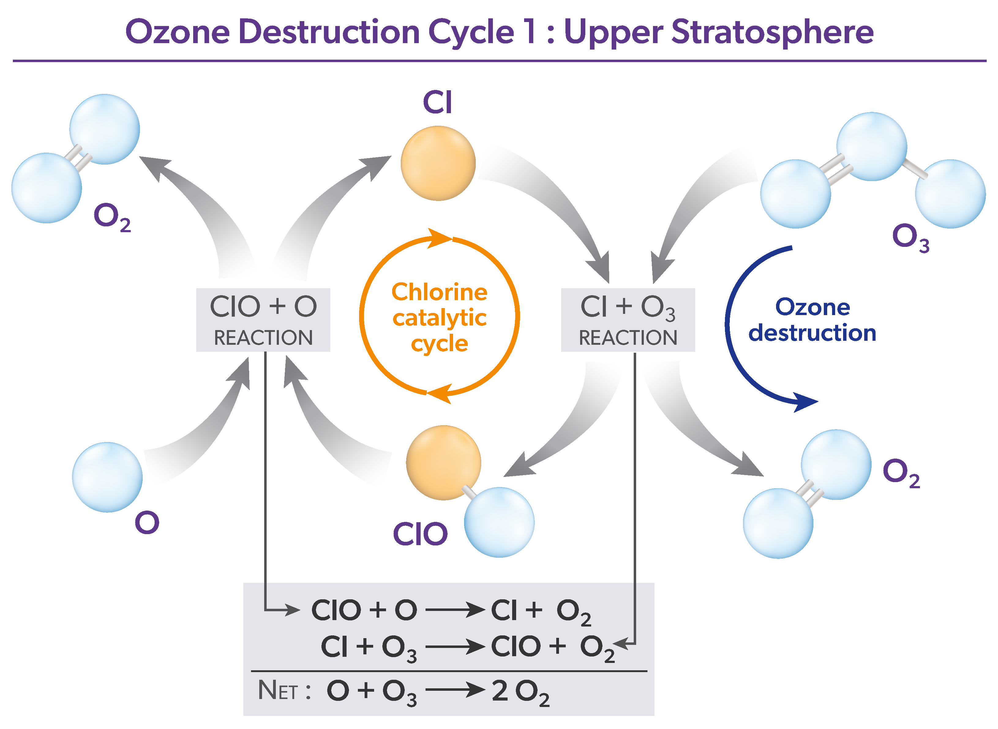 Ozone destruction Cycle 1