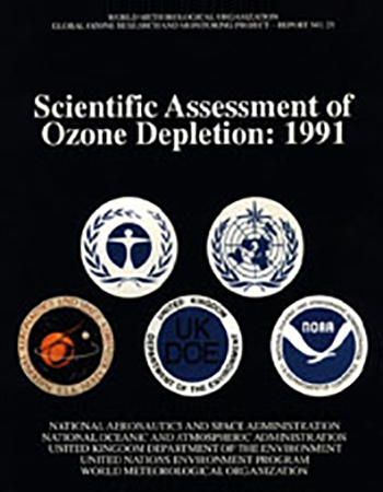 1991 Assessment cover