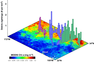 density of debris sightings in the north Pacific