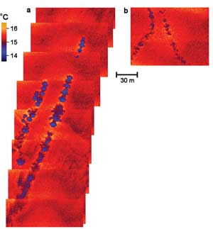 false-color images of surface temperature