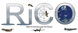 RICO logo