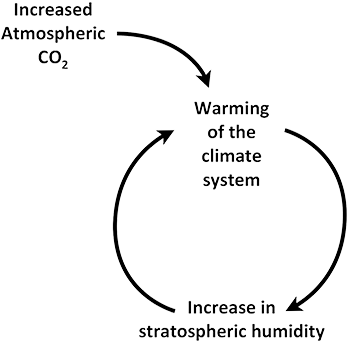 climate feedback loop diagram
