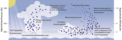 Figure 1: NPF and growth to CCN sizes in the Tropical Convective Region