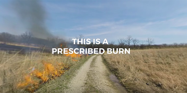 prescribed burn field