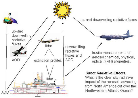 schematic diagram of the direct effect